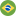 Bandeira Brasil
